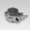 HEPU P939 Water Pump